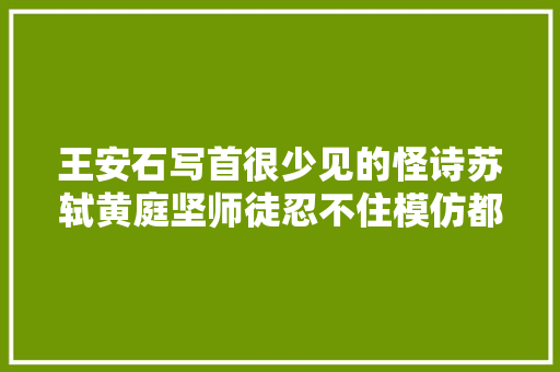 王安石写首很少见的怪诗苏轼黄庭坚师徒忍不住模仿都败下阵来