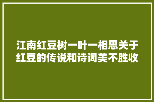 江南红豆树一叶一相思关于红豆的传说和诗词美不胜收