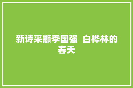 新诗采撷季国强  白桦林的春天