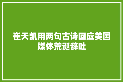 崔天凯用两句古诗回应美国媒体荒诞辞吐