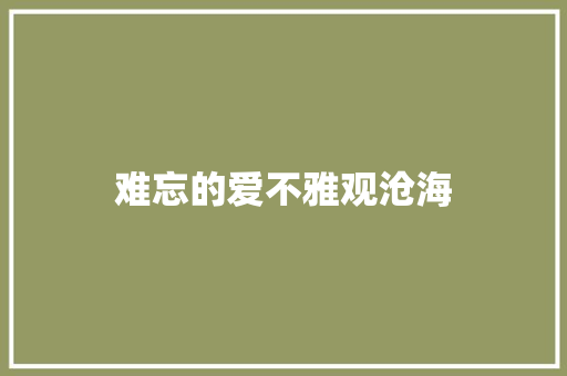难忘的爱不雅观沧海