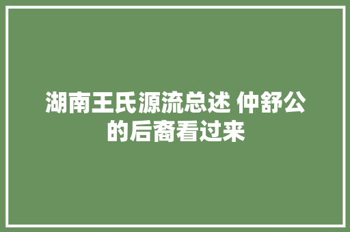 湖南王氏源流总述 仲舒公的后裔看过来