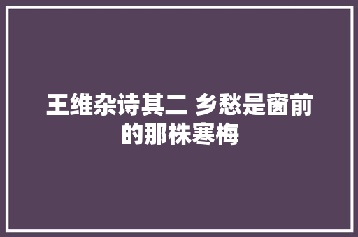 王维杂诗其二 乡愁是窗前的那株寒梅