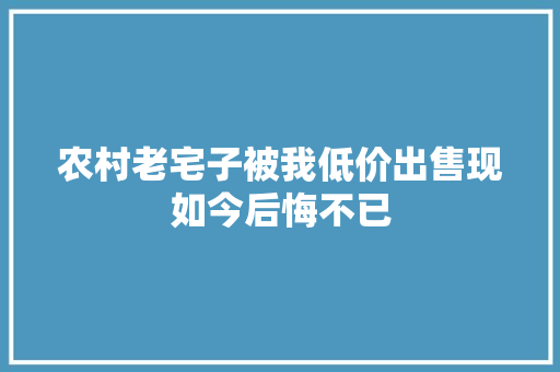 农村老宅子被我低价出售现如今后悔不已