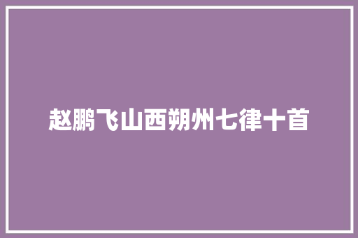 赵鹏飞山西朔州七律十首