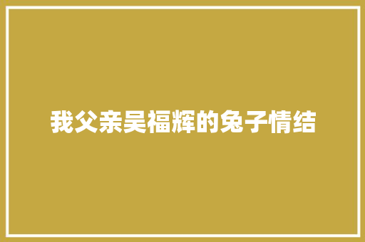 我父亲吴福辉的兔子情结