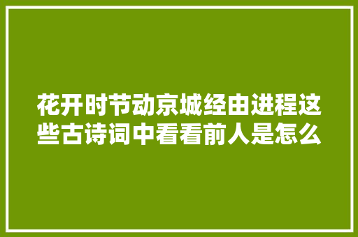 花开时节动京城经由进程这些古诗词中看看前人是怎么赏花的