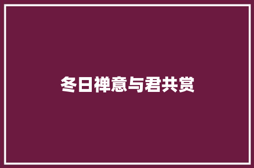冬日禅意与君共赏