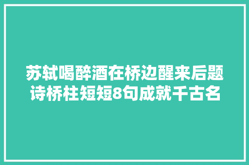 苏轼喝醉酒在桥边醒来后题诗桥柱短短8句成就千古名篇