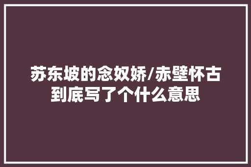 苏东坡的念奴娇/赤壁怀古到底写了个什么意思