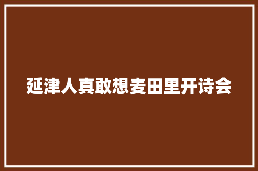延津人真敢想麦田里开诗会