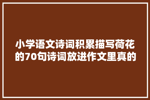 小学语文诗词积累描写荷花的70句诗词放进作文里真的能得高分