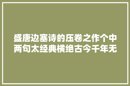 盛唐边塞诗的压卷之作个中两句太经典横绝古今千年无人超越
