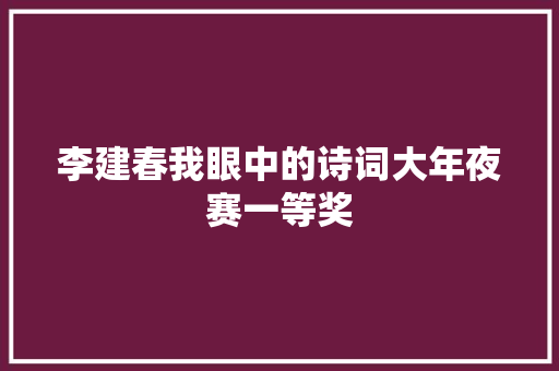 李建春我眼中的诗词大年夜赛一等奖
