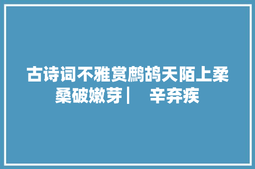 古诗词不雅赏鹧鸪天陌上柔桑破嫩芽 ▏ 辛弃疾