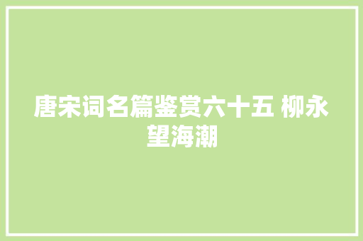 唐宋词名篇鉴赏六十五 柳永望海潮