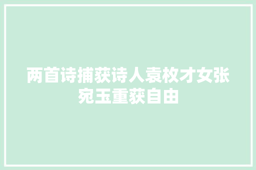两首诗捕获诗人袁枚才女张宛玉重获自由