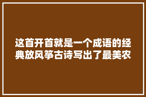 这首开首就是一个成语的经典放风筝古诗写出了最美农村童年时光