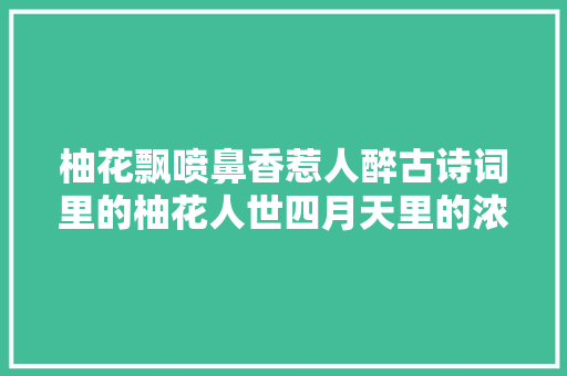 柚花飘喷鼻香惹人醉古诗词里的柚花人世四月天里的浓烈芬芳