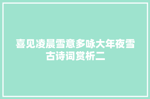 喜见凌晨雪意多咏大年夜雪古诗词赏析二