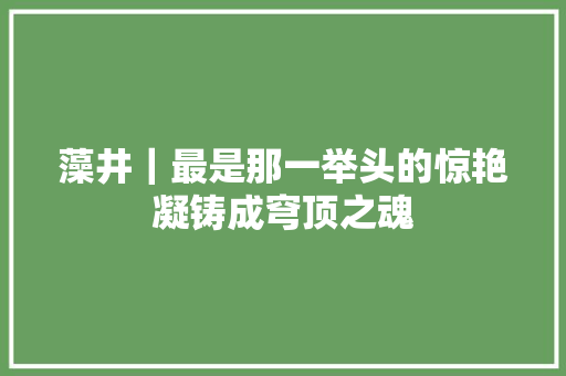 藻井｜最是那一举头的惊艳凝铸成穹顶之魂