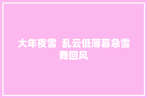 大年夜雪  乱云低薄暮急雪舞回风