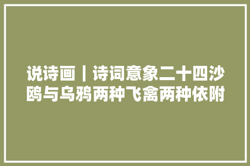 说诗画｜诗词意象二十四沙鸥与乌鸦两种飞禽两种依附下篇