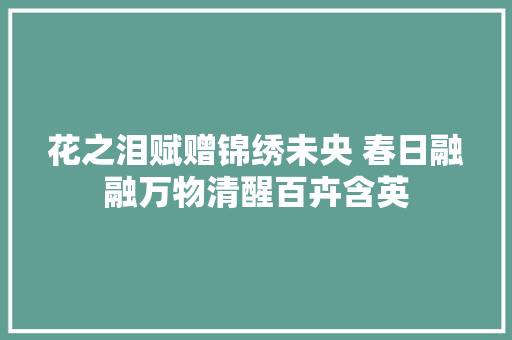 花之泪赋赠锦绣未央 春日融融万物清醒百卉含英