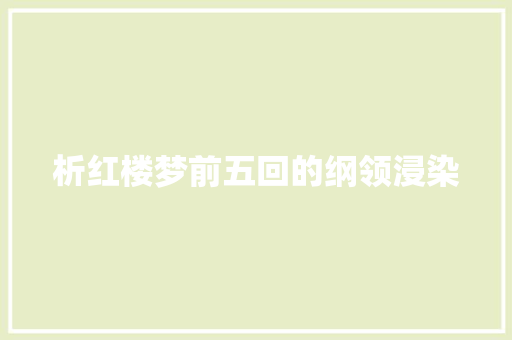 析红楼梦前五回的纲领浸染