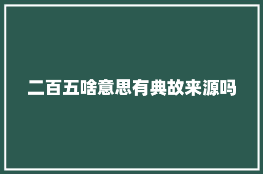 二百五啥意思有典故来源吗