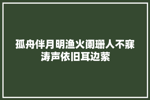 孤舟伴月明渔火阑珊人不寐涛声依旧耳边萦