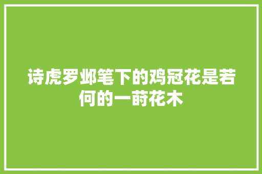 诗虎罗邺笔下的鸡冠花是若何的一莳花木