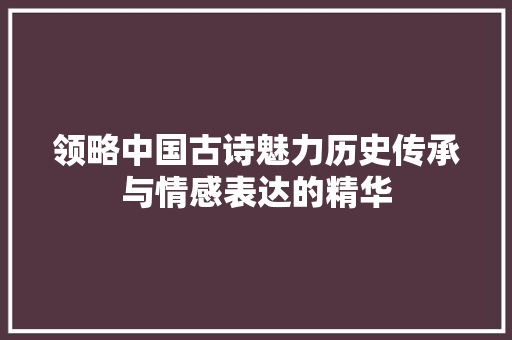 领略中国古诗魅力历史传承与情感表达的精华
