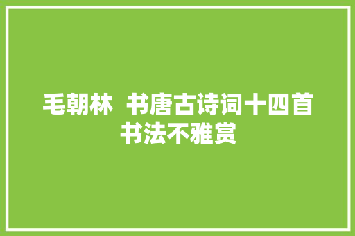 毛朝林  书唐古诗词十四首书法不雅赏