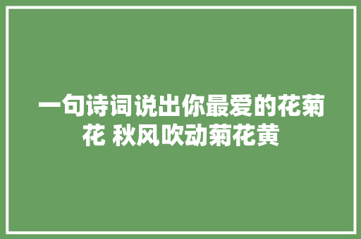一句诗词说出你最爱的花菊花 秋风吹动菊花黄