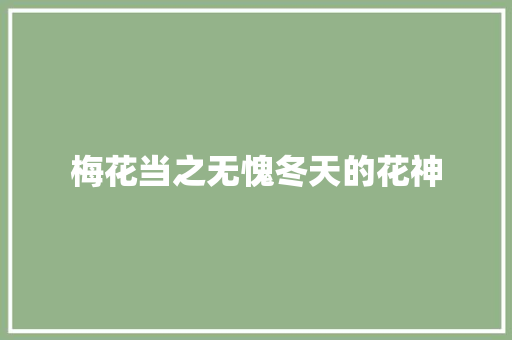 梅花当之无愧冬天的花神