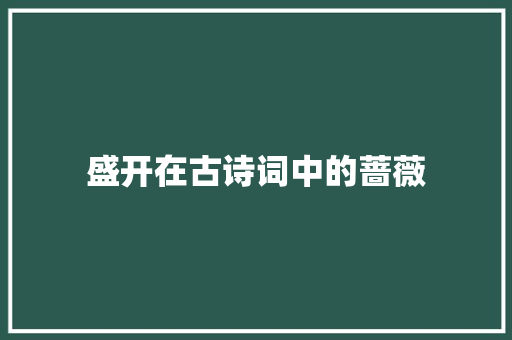 盛开在古诗词中的蔷薇