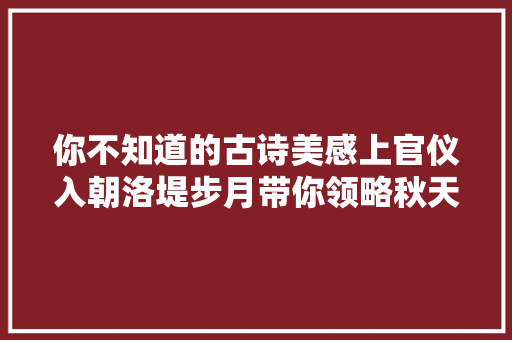 你不知道的古诗美感上官仪入朝洛堤步月带你领略秋天诗意