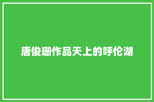 唐俊珊作品天上的呼伦湖