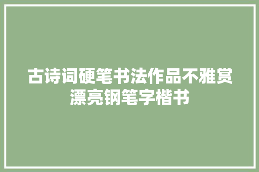 古诗词硬笔书法作品不雅赏漂亮钢笔字楷书