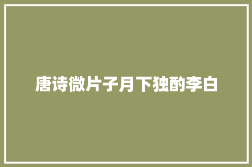 唐诗微片子月下独酌李白 唐诗微片子月下独酌李白