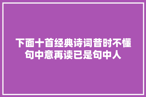 下面十首经典诗词昔时不懂句中意再读已是句中人