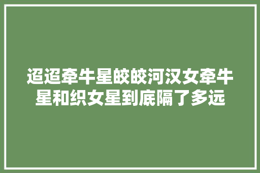 迢迢牵牛星皎皎河汉女牵牛星和织女星到底隔了多远