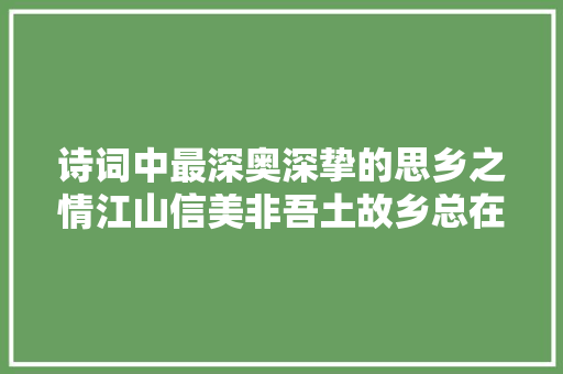 诗词中最深奥深挚的思乡之情江山信美非吾土故乡总在灵魂深处