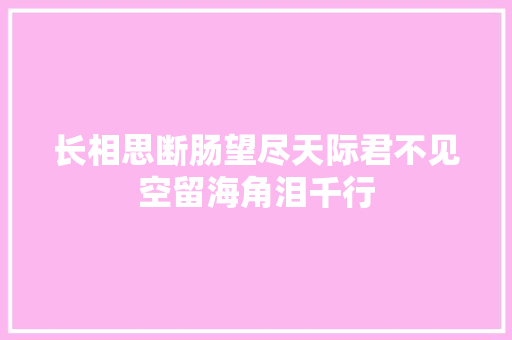 长相思断肠望尽天际君不见空留海角泪千行