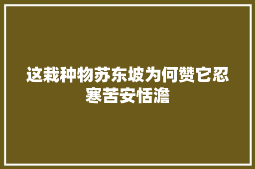 这栽种物苏东坡为何赞它忍寒苦安恬澹