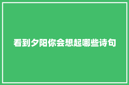 看到夕阳你会想起哪些诗句