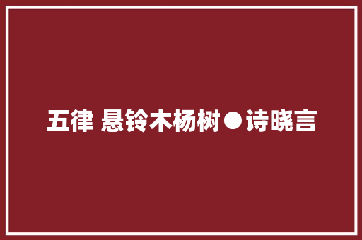 五律 悬铃木杨树●诗晓言 五律 悬铃木杨树●诗晓言