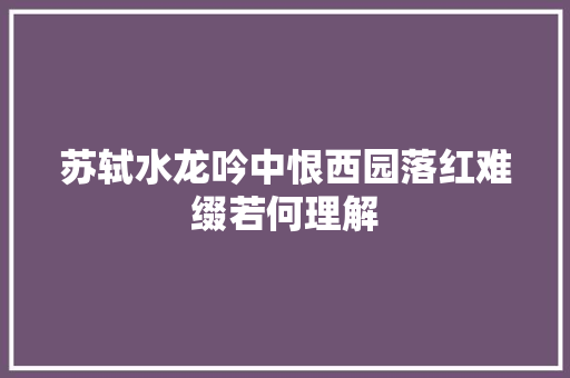 苏轼水龙吟中恨西园落红难缀若何理解