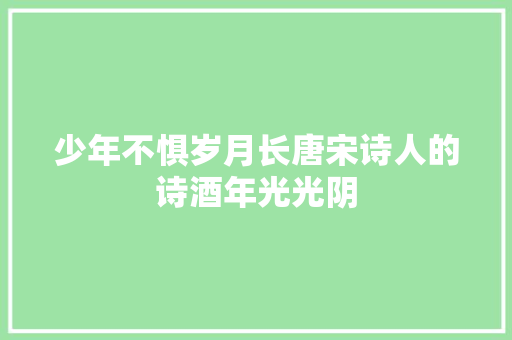 少年不惧岁月长唐宋诗人的诗酒年光光阴